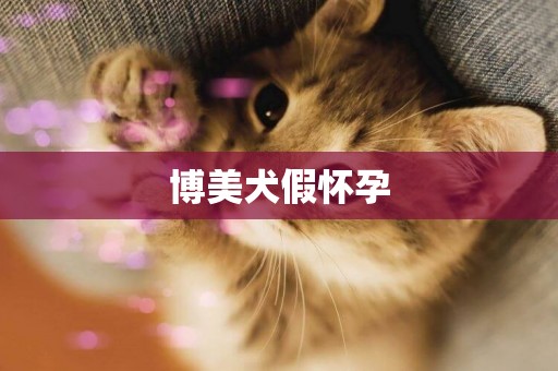 博美犬假懷孕