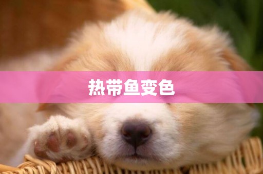 熱帶魚變色