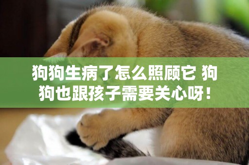 狗狗生病了怎么照顧它 狗狗也跟孩子需要關心呀！