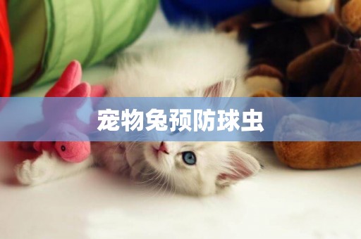 寵物兔預防球蟲