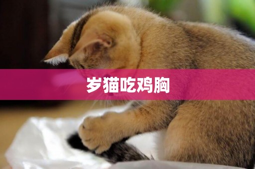 歲貓吃雞胸