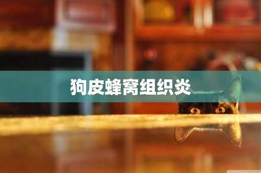狗皮蜂窩組織炎