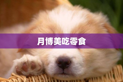 月博美吃零食