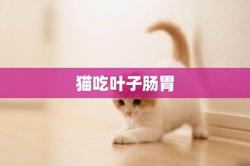 貓吃葉子腸胃