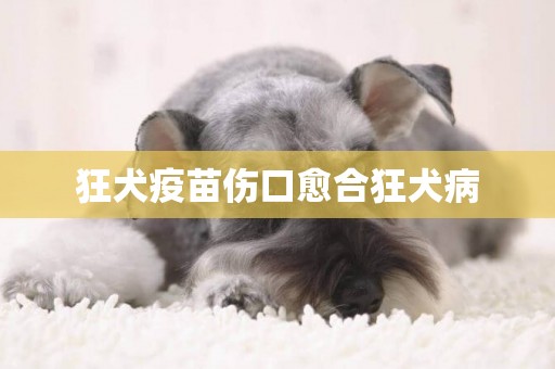 狂犬疫苗傷口愈合狂犬病