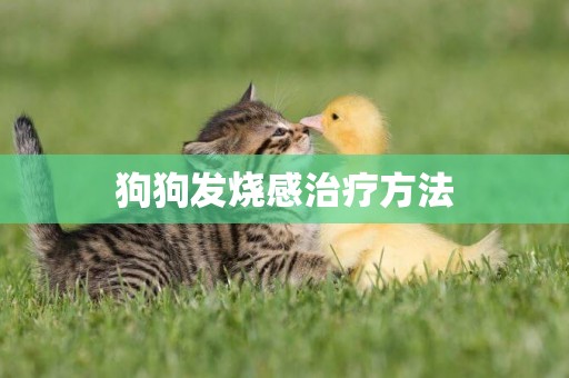 狗狗發燒感治療方法