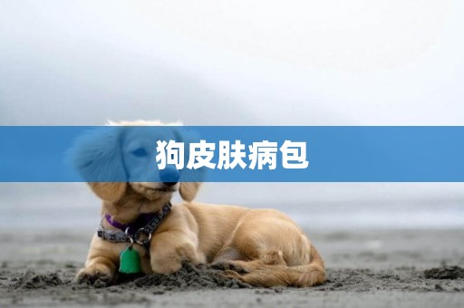 狗皮膚病包
