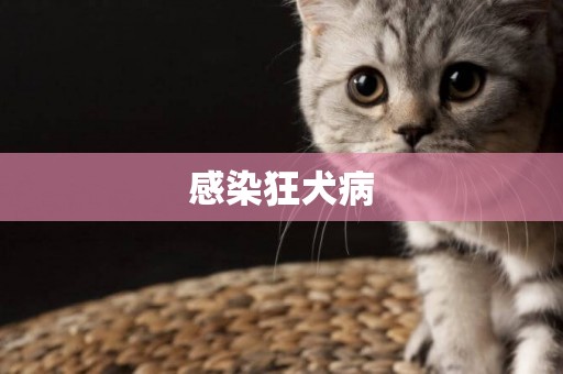 感染狂犬病