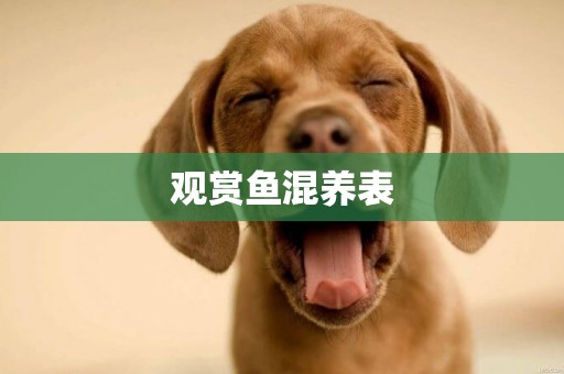 觀賞魚混養表
