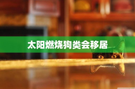 太陽燃燒狗類會移居