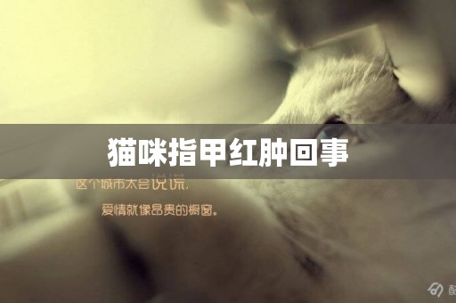 貓咪指甲紅腫回事
