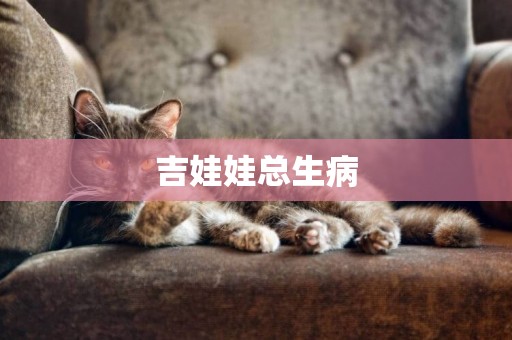 吉娃娃總生病