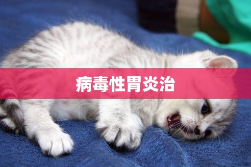 病毒性胃炎治