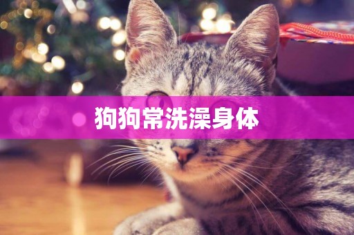 狗狗常洗澡身體