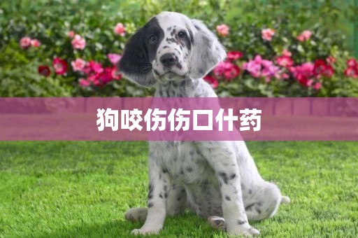 狗咬傷傷口什藥