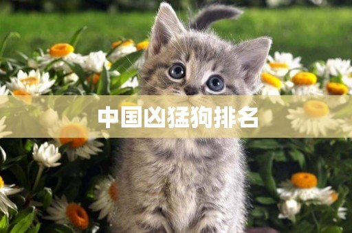 中國兇猛狗排名