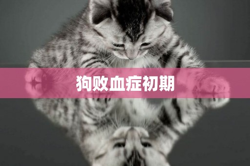 狗敗血癥初期