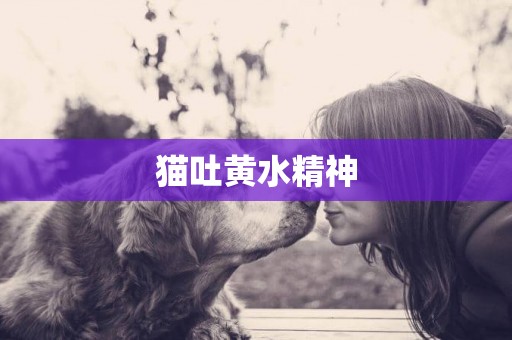貓吐黃水精神