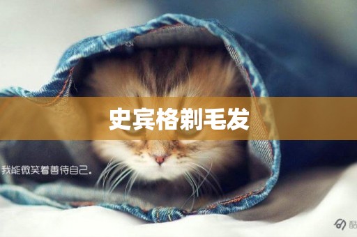 史賓格剃毛發