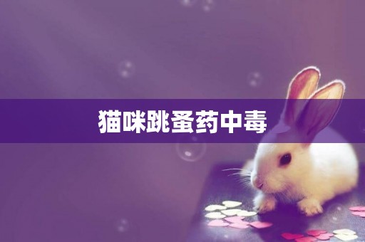 貓咪跳蚤藥中毒