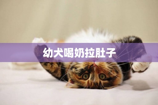 幼犬喝奶拉肚子