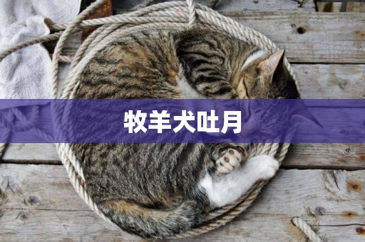 牧羊犬吐月
