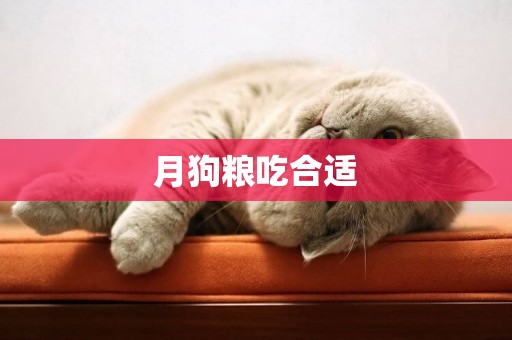 月狗糧吃合適
