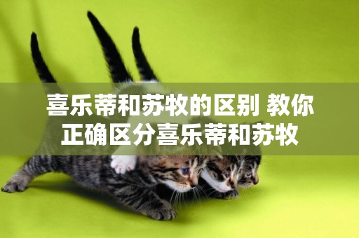 喜樂蒂和蘇牧的區別 教你正確區分喜樂蒂和蘇牧 喜樂蒂和蘇牧的區別 教你正確區分喜樂蒂和蘇牧