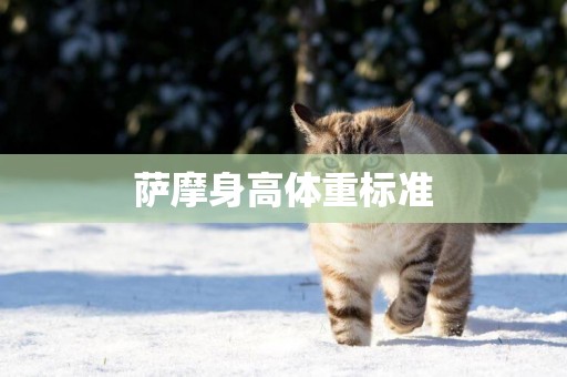 薩摩身高體重標準