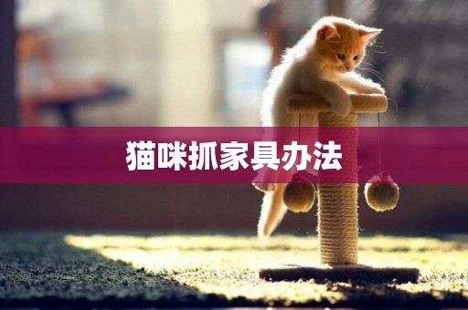 貓咪抓家具辦法