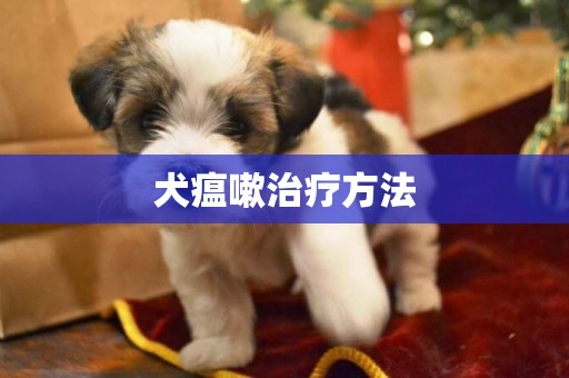 犬瘟嗽治療方法