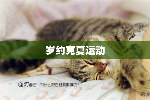 歲約克夏運動