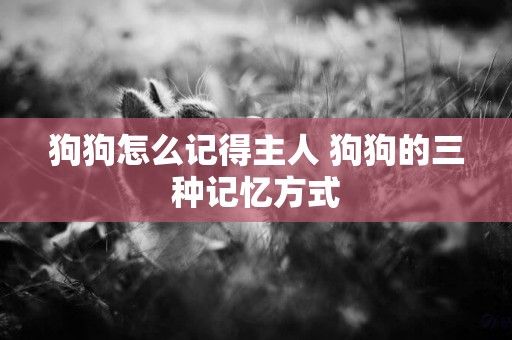 狗狗怎么記得主人 狗狗的三種記憶方式