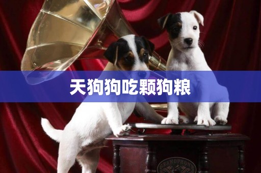 天狗狗吃顆狗糧