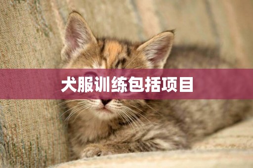 犬服訓練包括項目