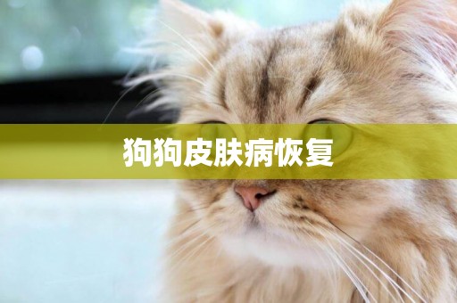 狗狗皮膚病恢復