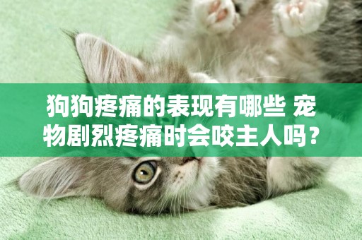 狗狗疼痛的表現有哪些 寵物劇烈疼痛時會咬主人嗎？