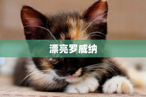漂亮羅威納