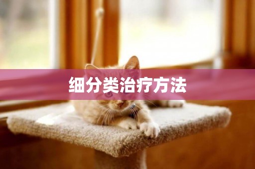 細分類治療方法