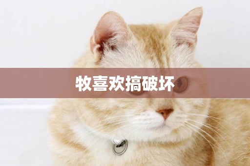 牧喜歡搞破壞