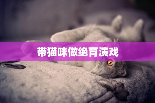帶貓咪做絕育演戲
