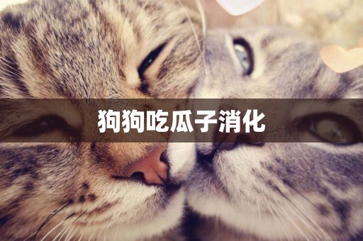 狗狗吃瓜子消化
