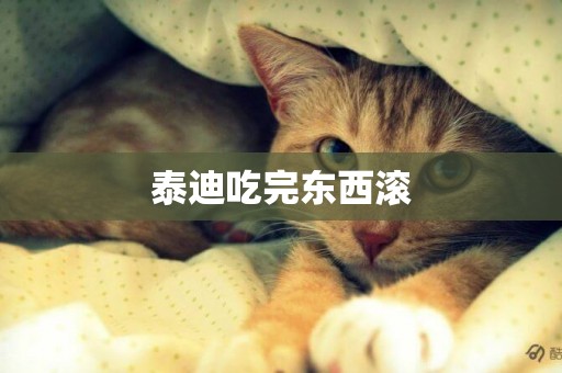泰迪吃完東西滾