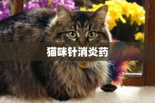 貓咪針消炎藥