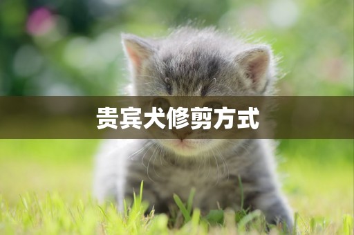 貴賓犬修剪方式