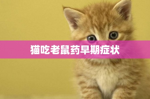 貓吃老鼠藥早期癥狀