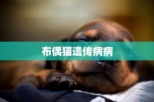 布偶貓遺傳病病