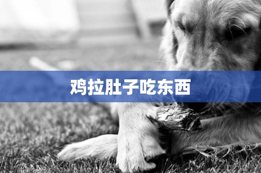 雞拉肚子吃東西