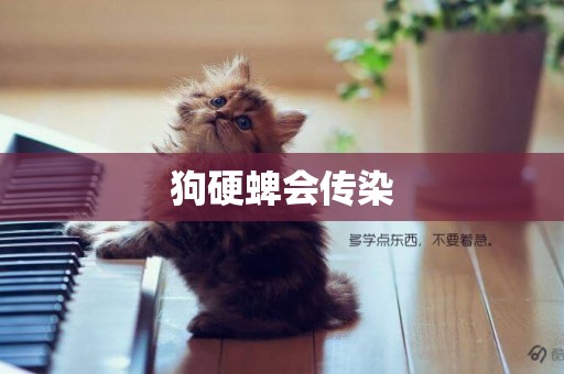 狗硬蜱會傳染