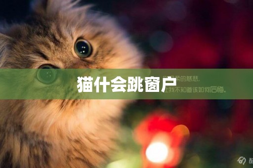 貓什會跳窗戶